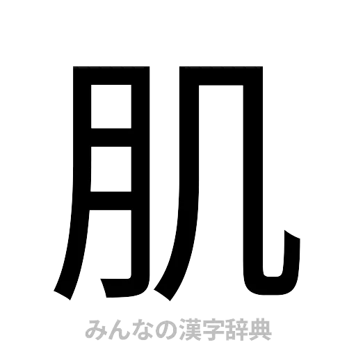 肌（ゴシック体）