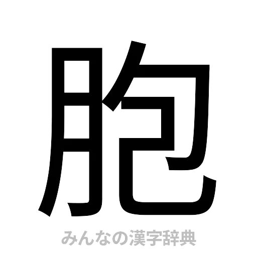 胞（ゴシック体）