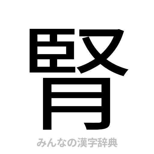 腎（ゴシック体）