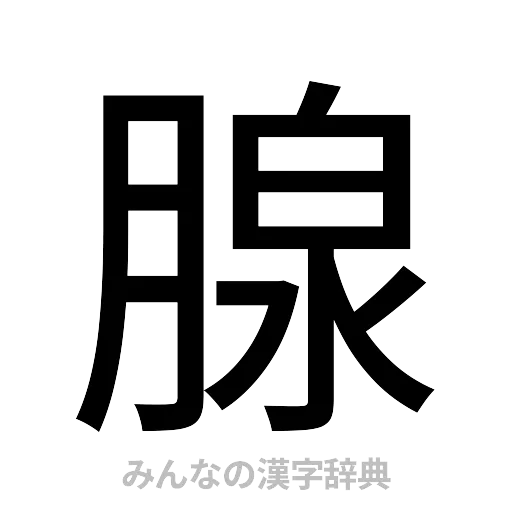 腺（ゴシック体）