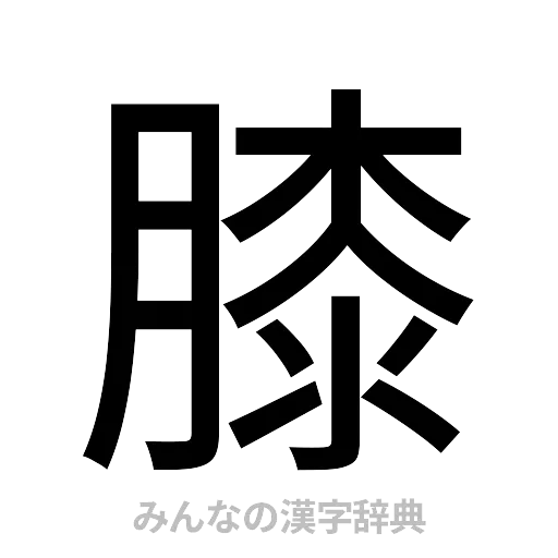 膝（ゴシック体）