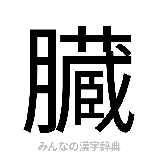 臓（ゴシック体）