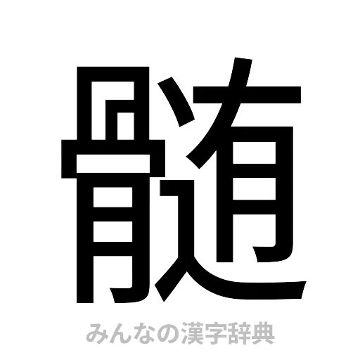 髄（ゴシック体）