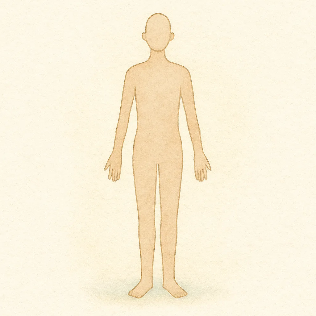 「体」のイラスト