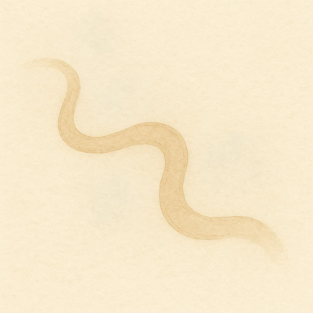 「弛」のイラスト