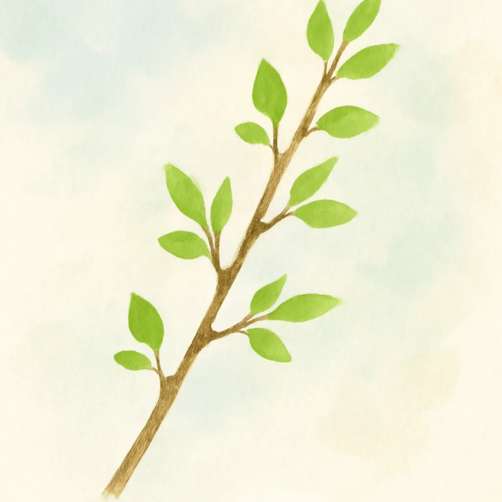 「条」のイラスト