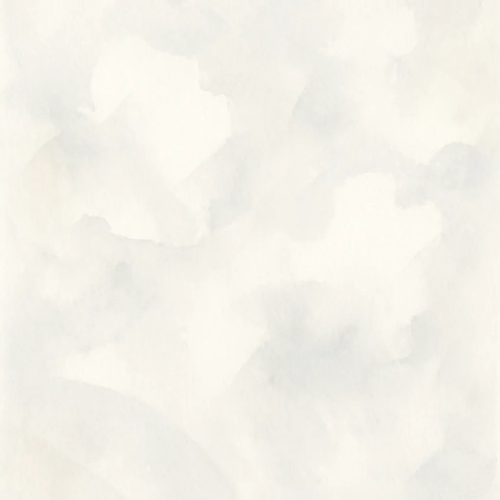 「白」のイラスト