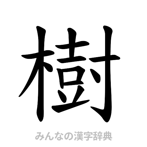 樹（楷書体）