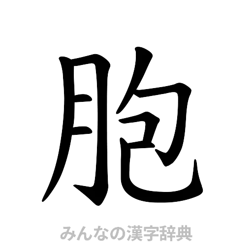 胞（楷書体）