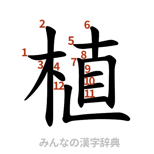 漢字「植」の書き順と画数
