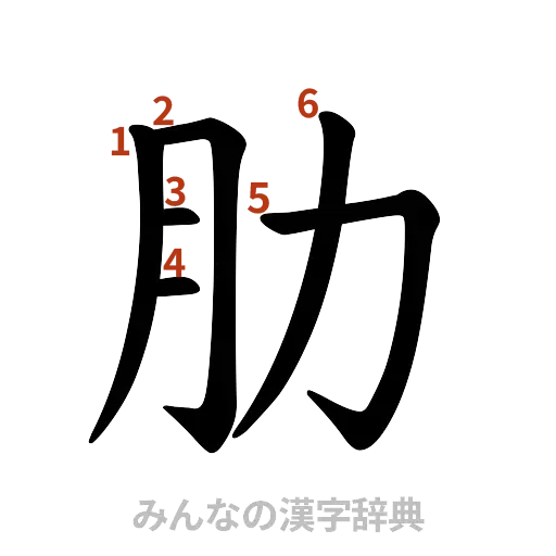 漢字「肋」の書き順と画数