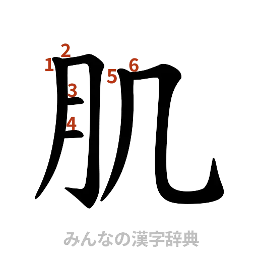 漢字「肌」の書き順と画数