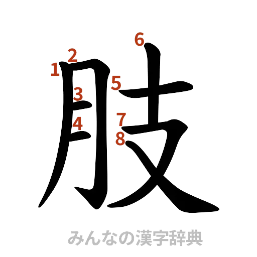 漢字「肢」の書き順と画数
