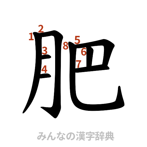 漢字「肥」の書き順と画数