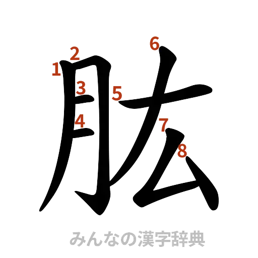 漢字「肱」の書き順と画数