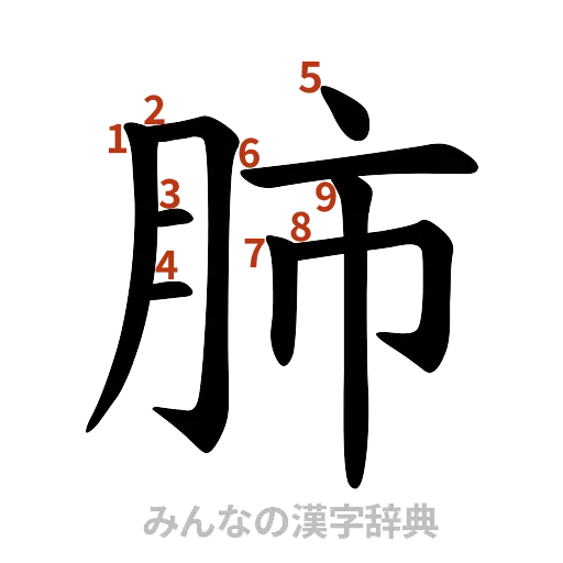 漢字「肺」の書き順と画数