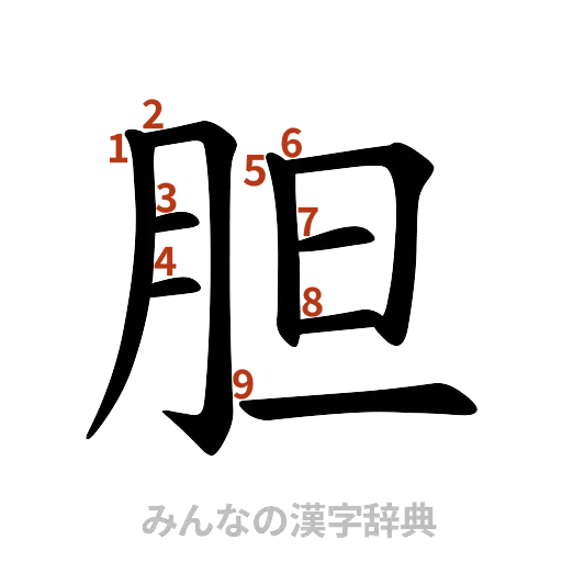 漢字「胆」の書き順と画数