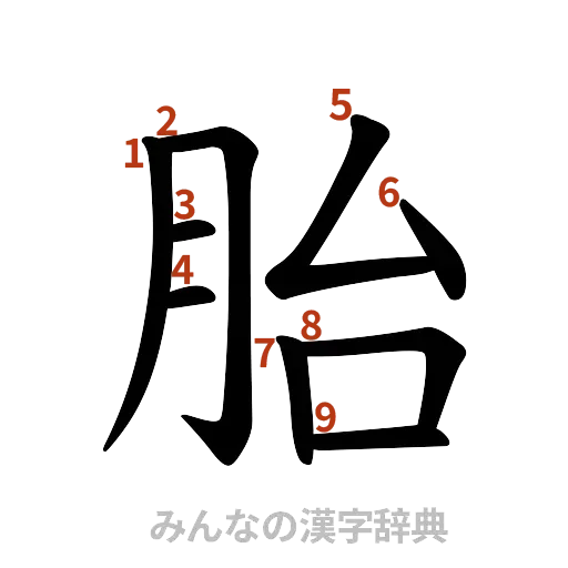 漢字「胎」の書き順と画数