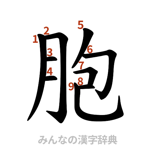 漢字「胞」の書き順と画数