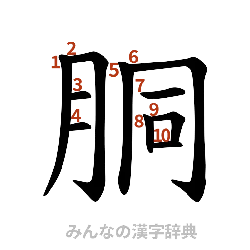 漢字「胴」の書き順と画数