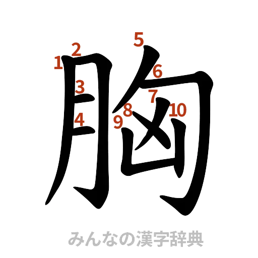 漢字「胸」の書き順と画数
