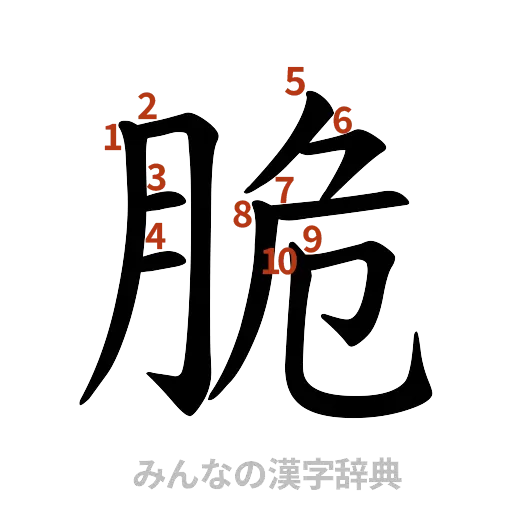漢字「脆」の書き順と画数