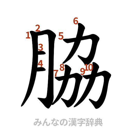 漢字「脇」の書き順と画数
