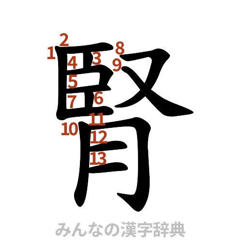 漢字「腎」の書き順と画数