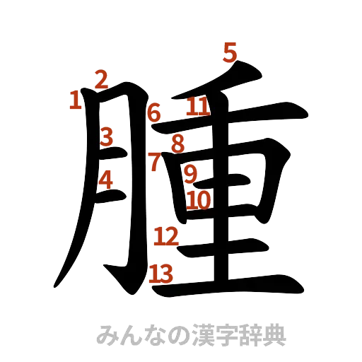 漢字「腫」の書き順と画数