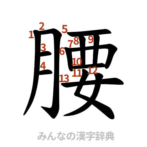 漢字「腰」の書き順と画数