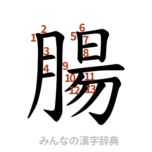 漢字「腸」の書き順と画数