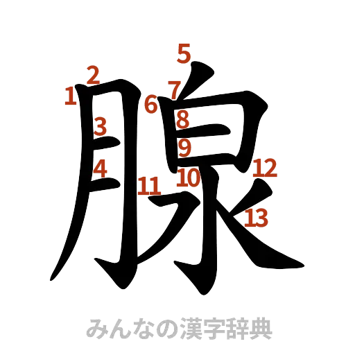 漢字「腺」の書き順と画数