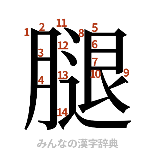 漢字「腿」の書き順と画数