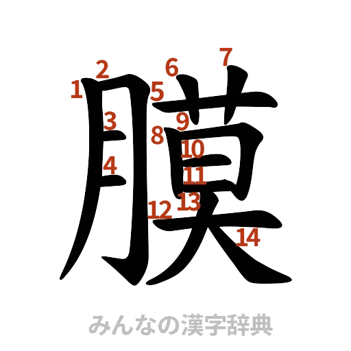 漢字「膜」の書き順と画数