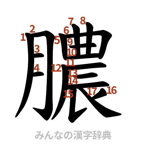漢字「膿」の書き順と画数
