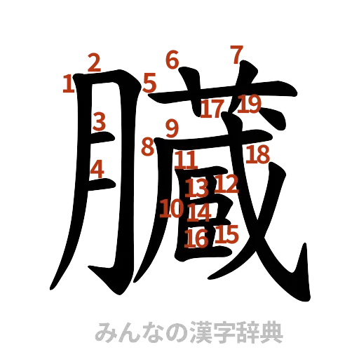 漢字「臓」の書き順と画数