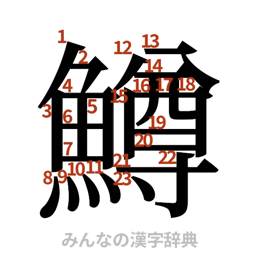 漢字「鱒」の書き順と画数