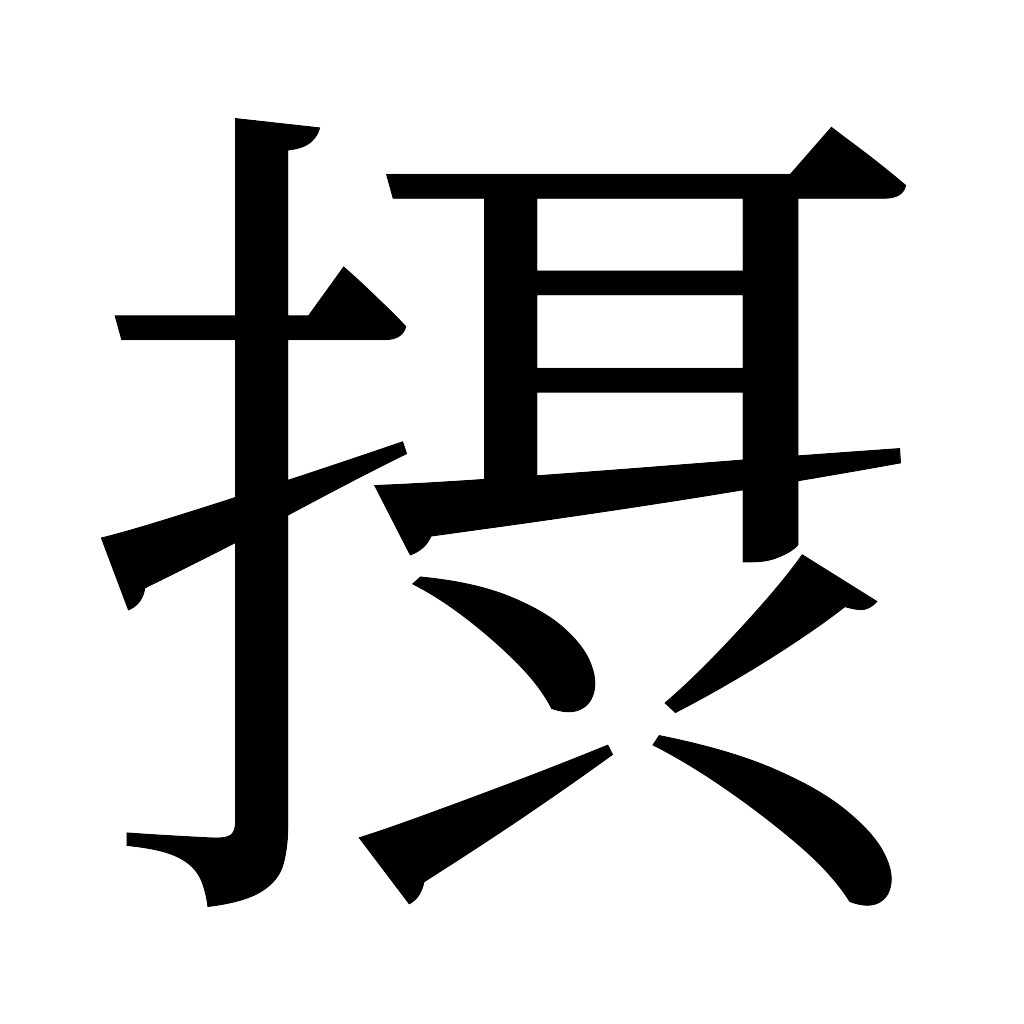漢字「摂」