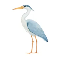 サギのイラスト
