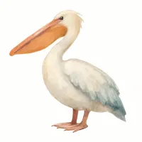 ペリカンのイラスト