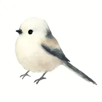 シマエナガのイラスト