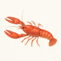 ザリガニのイラスト