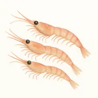 アミのイラスト