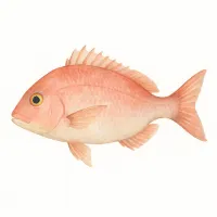 タイのイラスト