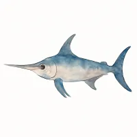 メカジキのイラスト