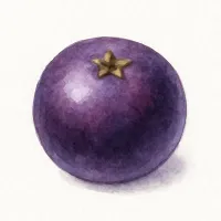 アサイーのイラスト