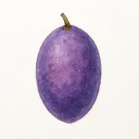 アケビのイラスト