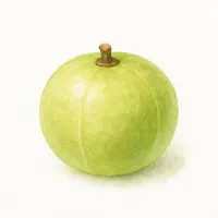 ユカンのイラスト