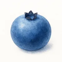 ブルーベリーのイラスト