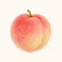 ハナモモのイラスト